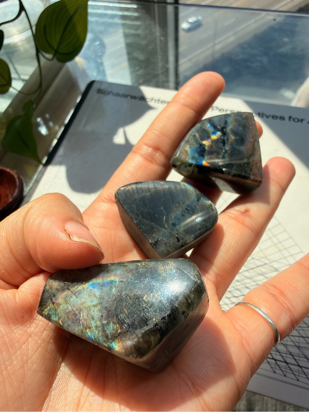 Labradorite Crystal Bundle | 3 Large Polished Freeforms | Blue Gold Flash